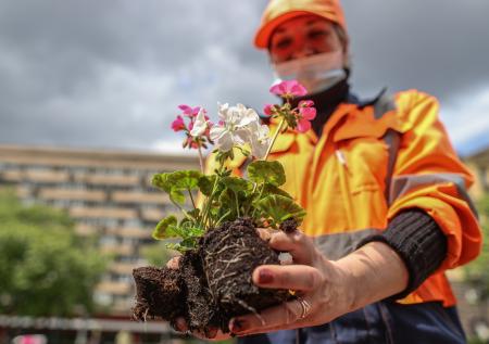 В Москве могут появиться цветочные сады на крышах