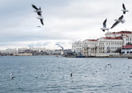 В Крыму продлили высокий уровень террористической опасности 