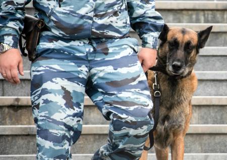 Тульским котятам привезли 20 кг мефедрона