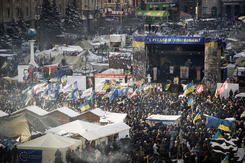 Протесты на Майдане в 2014 году, Украина