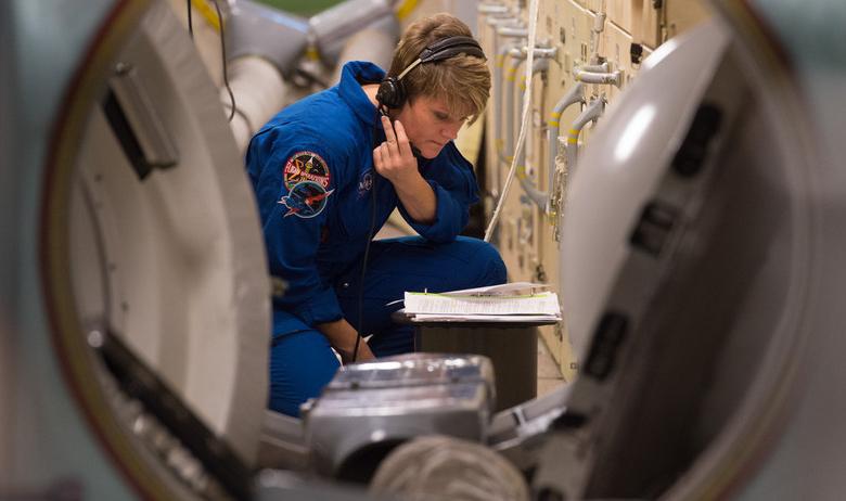 Энн Макклейн (NASA)
