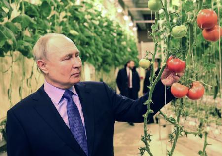 Потрогал огурец и понюхал базилик: что делает Путин на Чукотке, цель визита