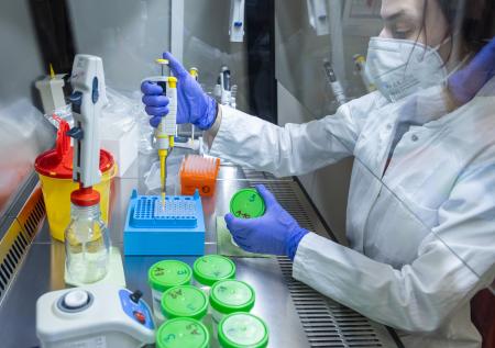 WADA назвало количество положительных допинг-тестов у россиян за 2020 год