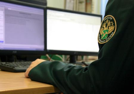 Три новых пункта пропуска для въезда по электронной визе появятся в РФ