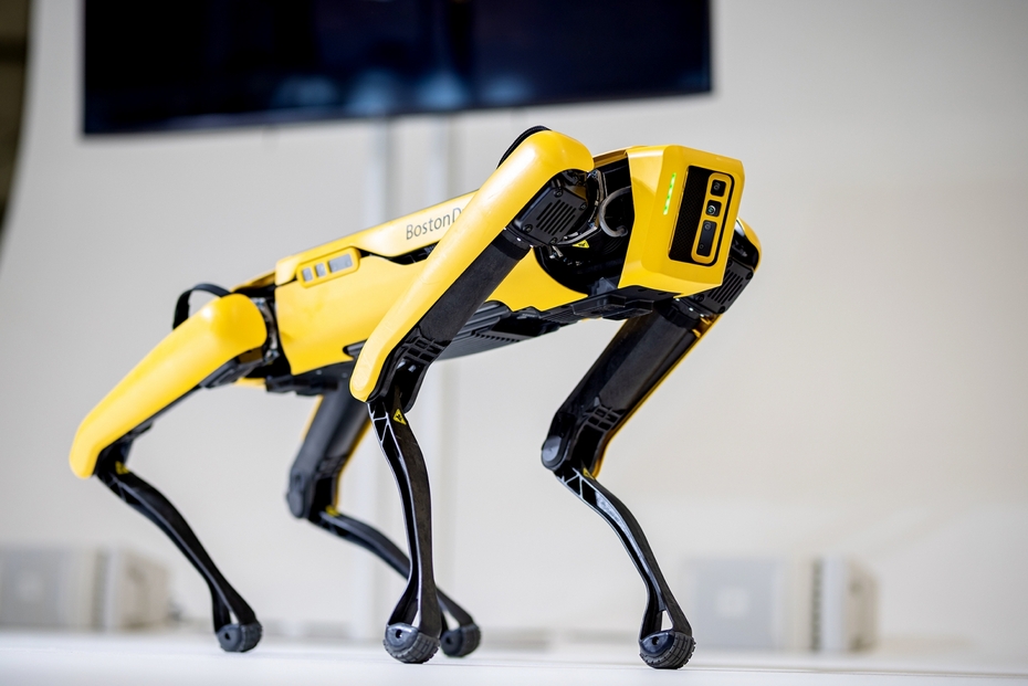 Робособака Boston Dynamics