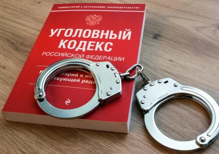 Против призывавшего к ударам по России математика завели дело