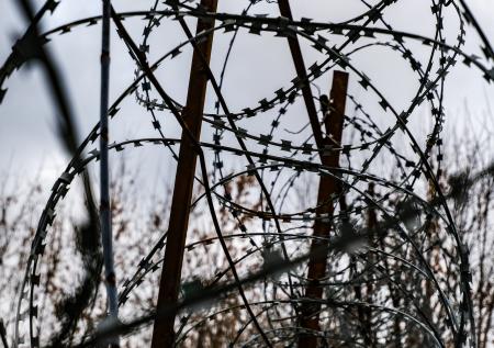 Жена Саакашвили потребовала освободить его из тюрьмы