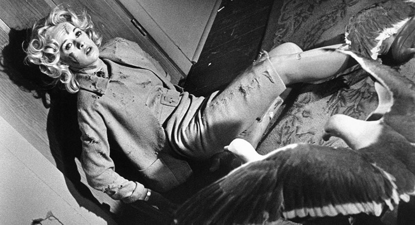 кадр из фильма «Птицы», 1963