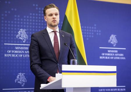 В МИД Литвы оценили идею об отказе от признания независимости страны