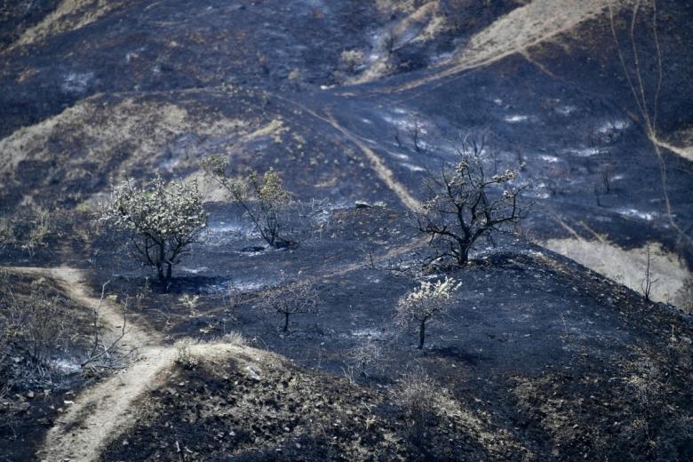 Последствия пожара в Коктебеле. Возгорание травы и кустарников произошло в государственном природном заповеднике «Карадагский»