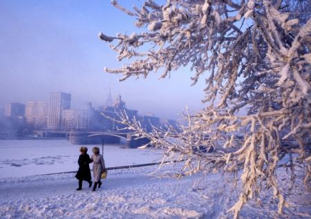Москвичам пообещали самую холодную ночь с начала зимы