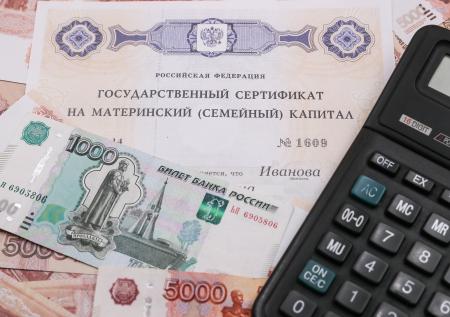 В Госдуме раскрыли связь демографии и продления программы маткапитала