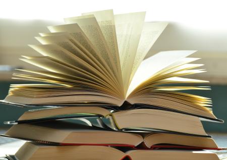 Зеленский объяснил, в каких случаях отказывали во ввозе российских книг