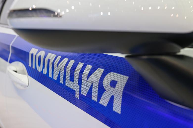 Министерство внутренних дел Российской Федерации