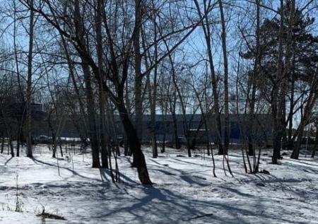 В Сибири нашли еще одну замерзшую насмерть многодетную мать