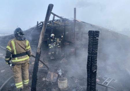 В Красноярском крае спасли более 30 свиней при пожаре