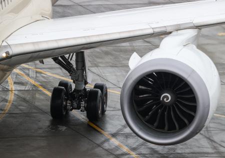 В ICAO назвали причину посадки самолёта Ryanair в Минске
