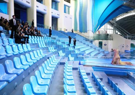 Танцующий морж Миша порадовал Ким Чен Ына во Владивостоке