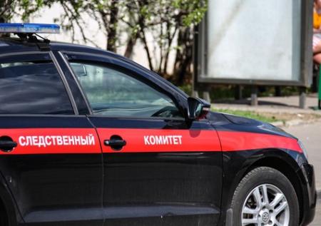 СК получил от МВД материалы в отношении полицейских по делу Голунова