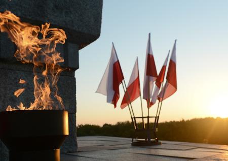 Кого Польша ждёт вместо России на годовщину начала ВМВ