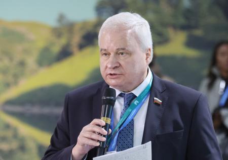 «Подобно удаву»: сенатор Денисов о трудностях в расчетах между РФ и Китаем