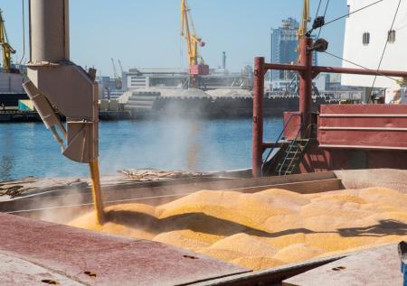 В Турции анонсировали поставки украинского зерна по морю