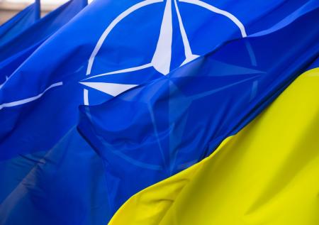 Стало известно, как бизнесмен Боголюбов помешает Украине вступить в НАТО