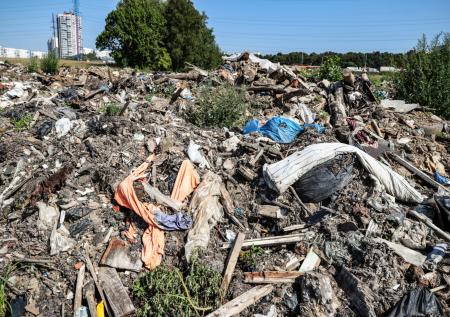 На помойке под Курском выявили очаг африканской чумы свиней