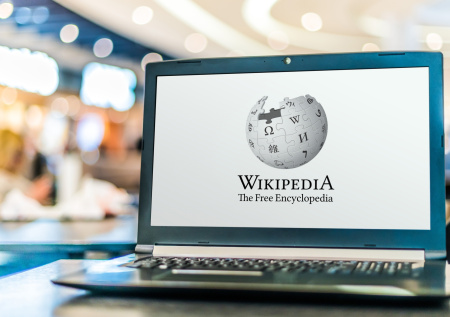 Названа возглавившая рейтинг англоязычной «Википедии» статья
