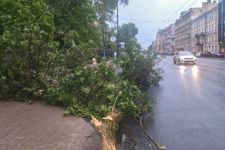 Ураган в Санкт-Петербурге