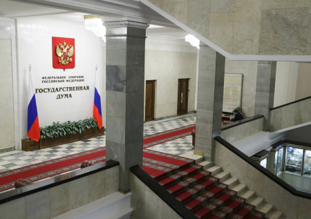 В Госдуме объяснили необходимость запрета на усыновление детей иностранцами