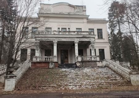 «Можно и башню Кремля продать»: в ГД о выставлении дачи Сталина на аукцион