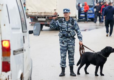 Туристам рассказали, как быстро пройти досмотр на Крымском мосту