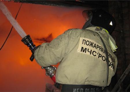 В Новосибирске пожар уничтожил питомник для 180 собак