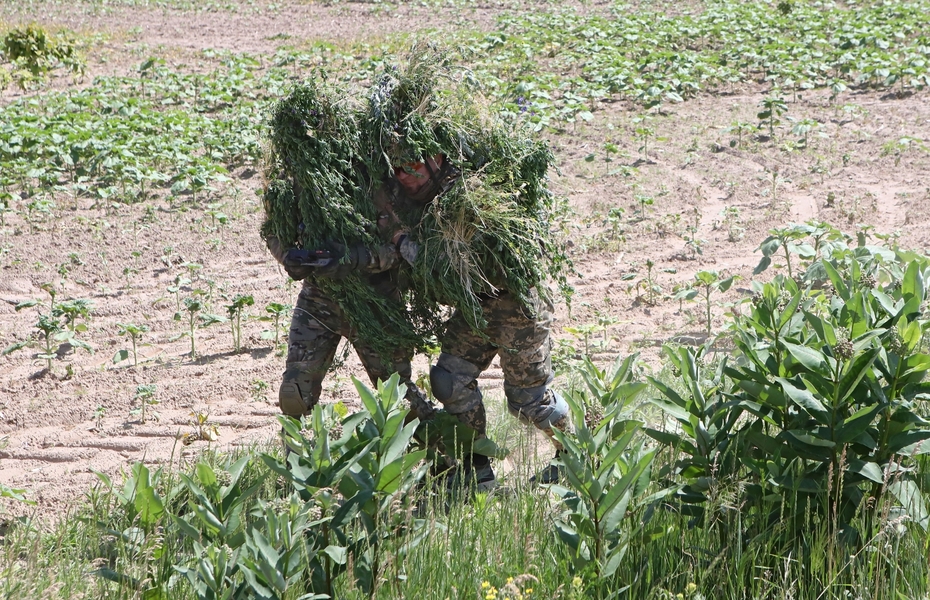 Вооружённые силы Украины