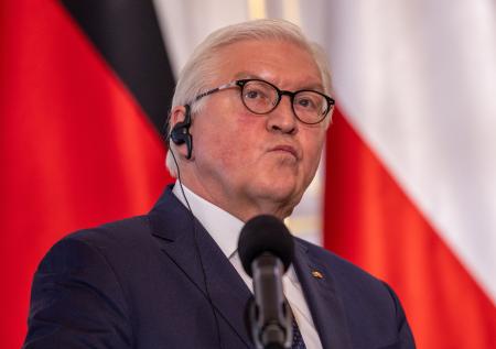 Штайнмайер заявил о невозможности быстро сократить импорт газа из России