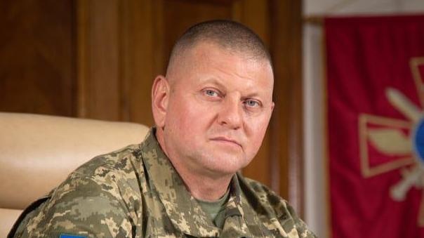 Валерий Залужный