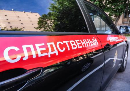 Под Пермью семилетнего мальчика насмерть задавило футбольными воротами 