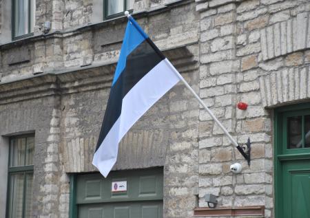 МИД Эстонии отреагировал на задержание консула в Петербурге