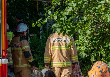 Под Санкт-Петербургом загорелись постройки бывшей птицефабрики