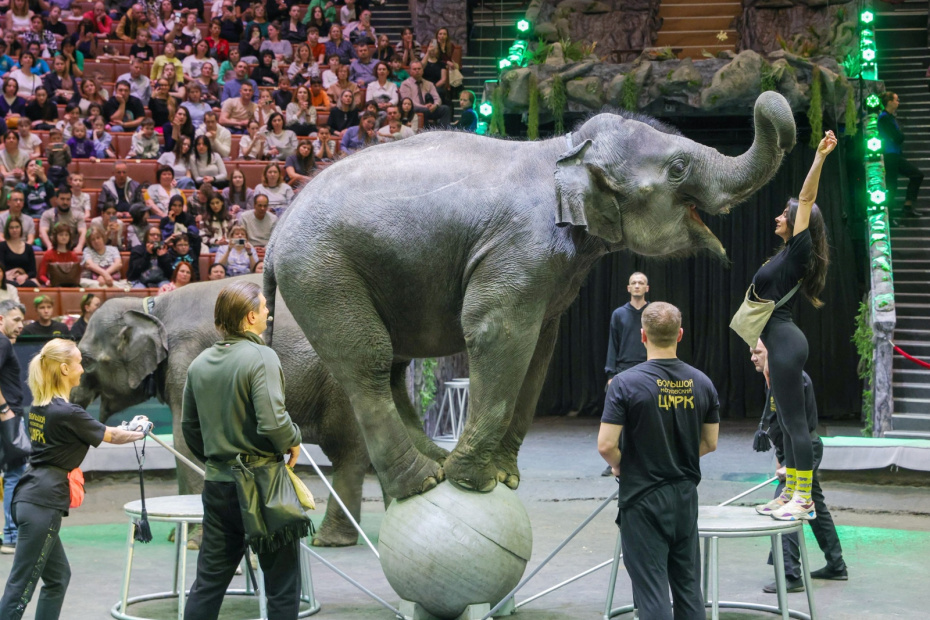 Какой сегодня день? Праздники и памятные даты 19 апреля 2025 года