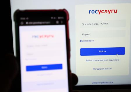 Два маркетплейса выступили против регистрации на «Госуслугах»