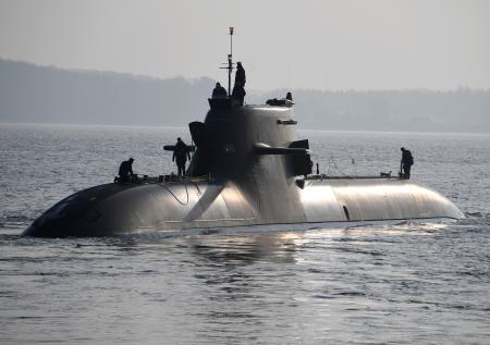 Британские подлодки спутали пукающего кита со шпионским оборудованием РФ