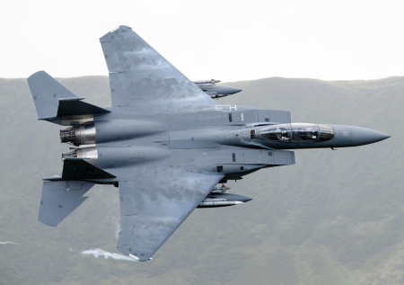 Американского пилота сбитого в Кувейте F-15 увезли в багажнике