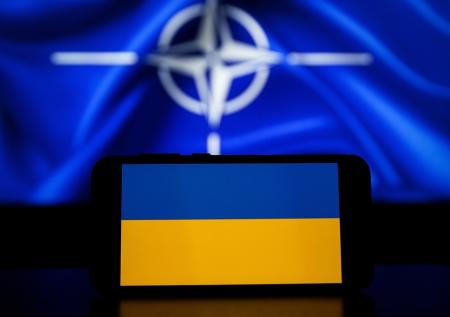 Украина попросилась в НАТО «де-факто»
