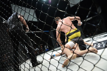 В России высказались о возможном возвращении турниров UFC