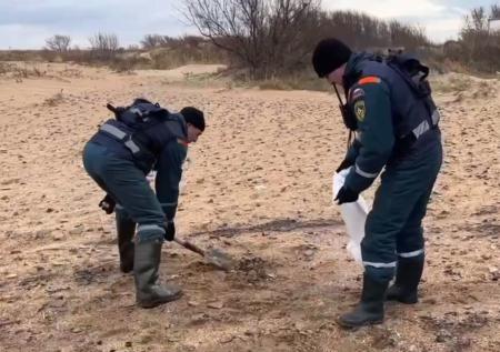 Мазут после крушения танкеров на Кубани загрязнил десятки километров берега