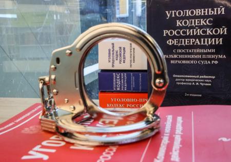 Стало известно о новом уголовном деле в отношении журналистки DOXA