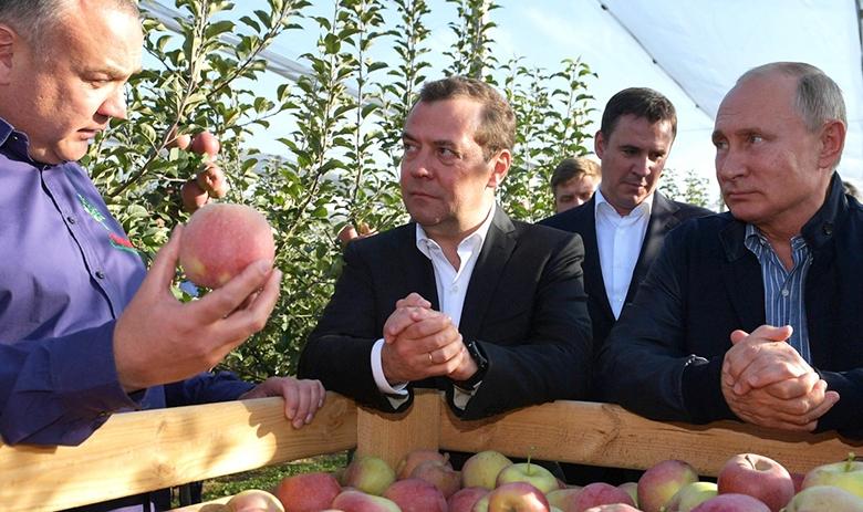 Премьер-министр Дмитрий Медведев и президент РФ Владимир Путин 