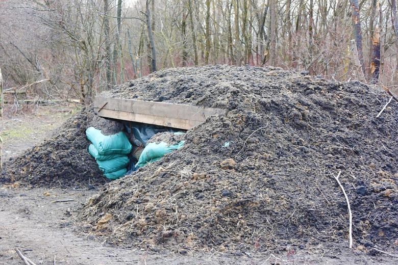 Выход из трубы
